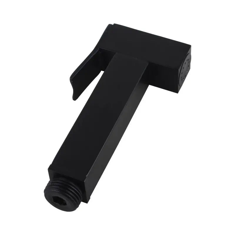 Black Brass Toilet Bidet Aquaperla