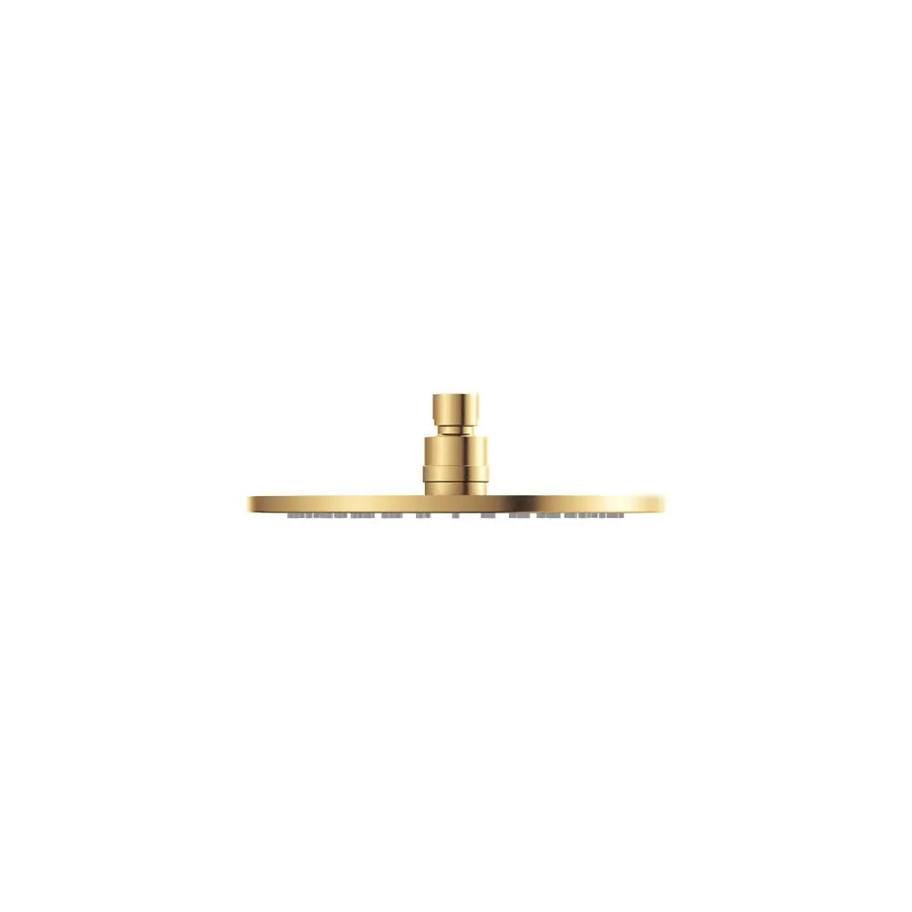 Starry Eco Flow Shower Head, Urban Brass fienza
