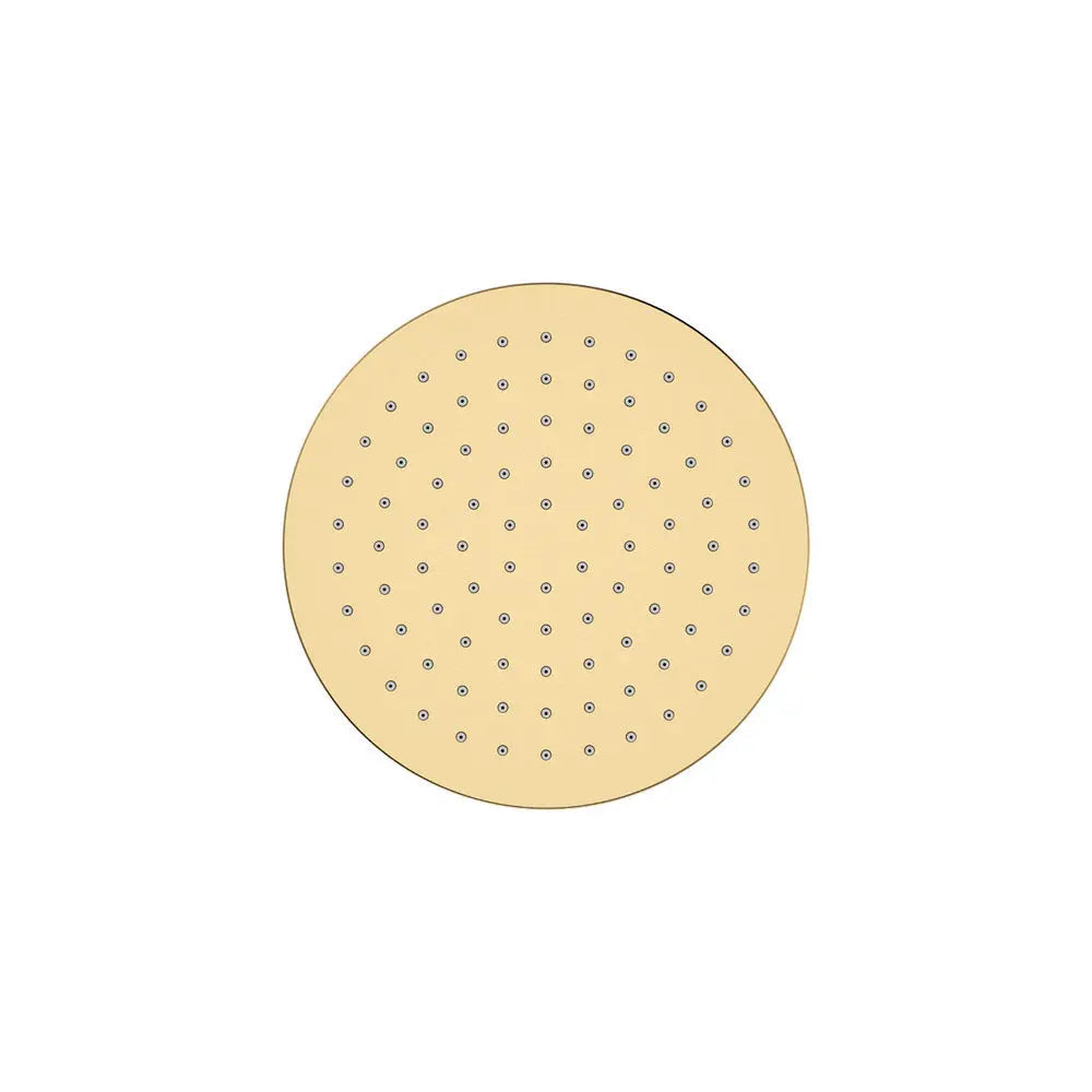 Starry Eco Flow Shower Head, Urban Brass fienza