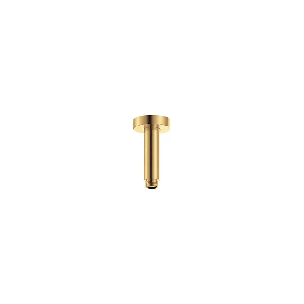 Round Shower Dropper, 100mm, Urban Brass fienza