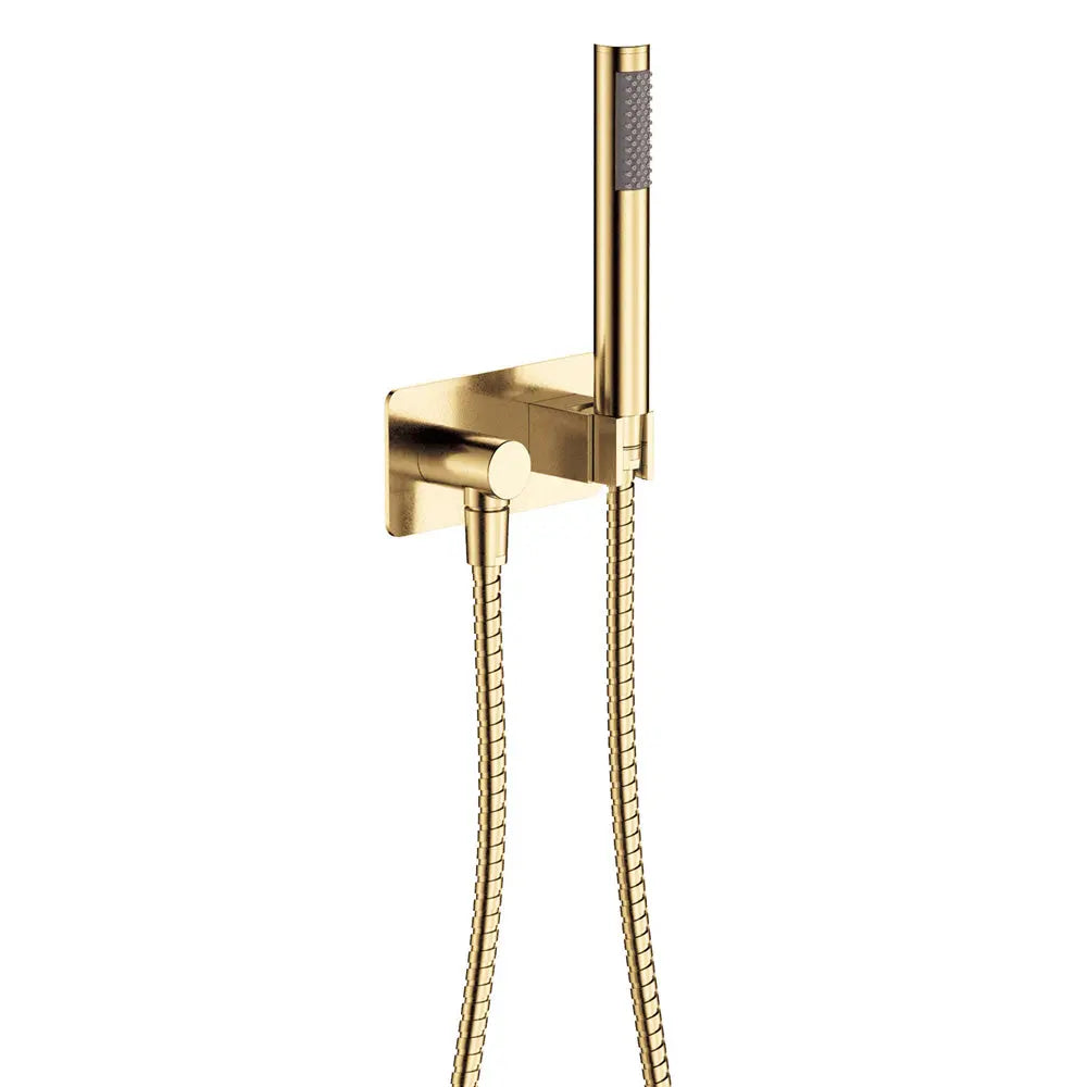 Isabella Hand Shower, Rectangular Plate, Urban Brass fienza
