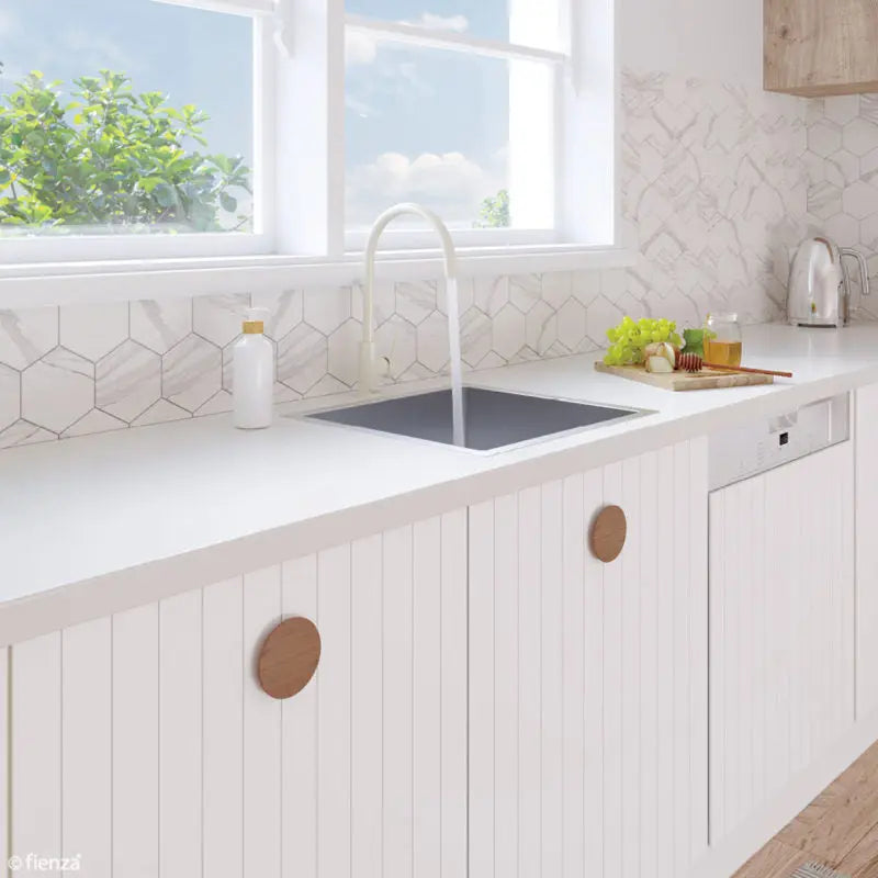 Hana 40L Single Kitchen Sink fienza