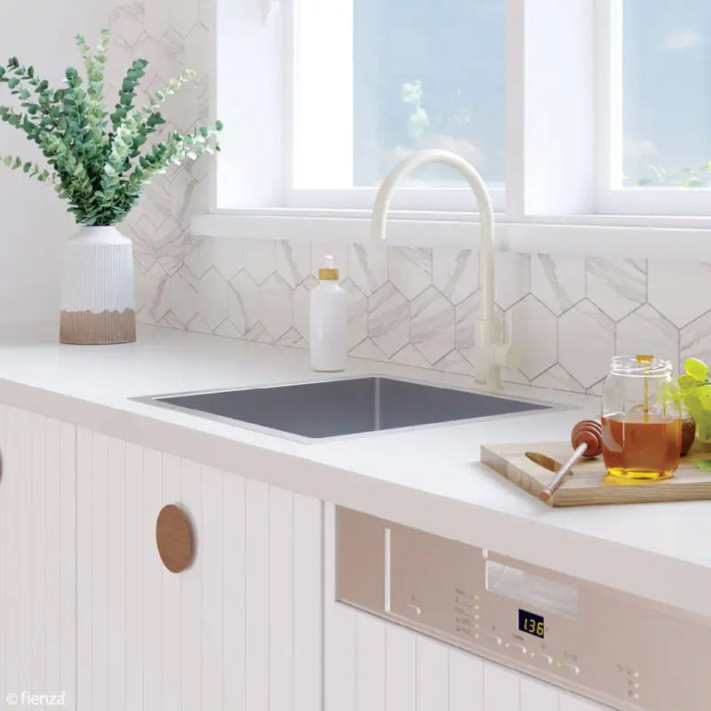Hana 40L Single Kitchen Sink fienza