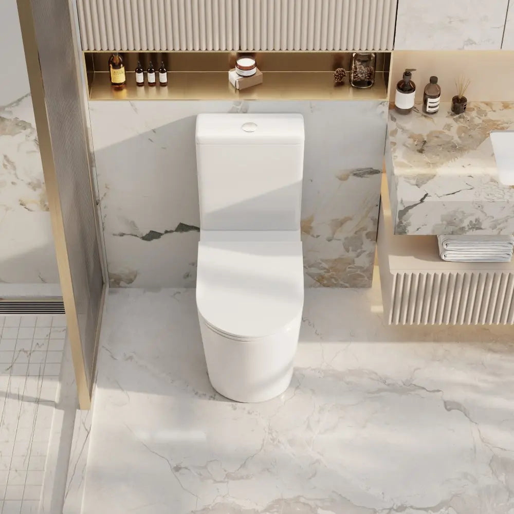 Berlin Back-to-Wall Toilet Suite mercioaustralia
