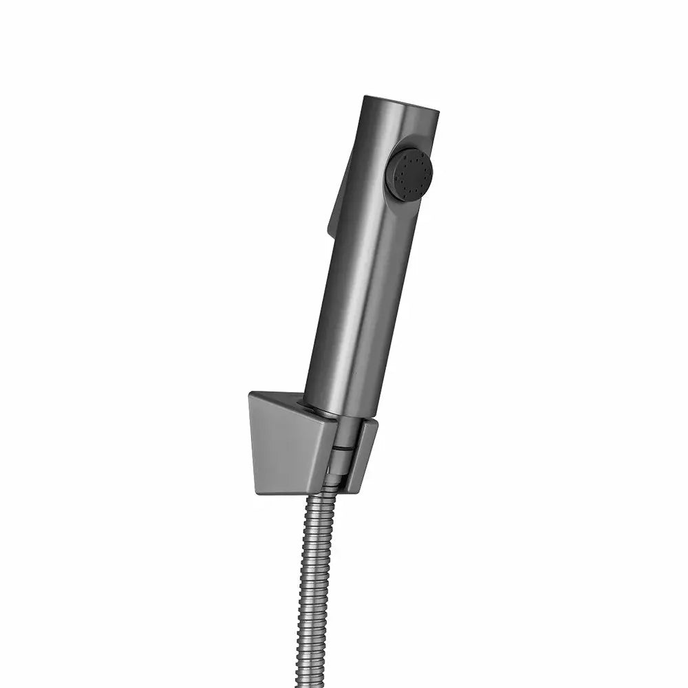 Brushed Nickel ABS Toilet Bidet Aquaperla