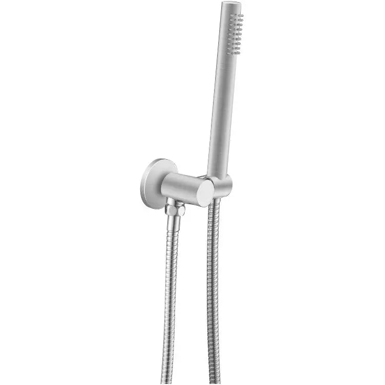Brushed Nickel Shower Rail with Handheld Shower Aquaperla