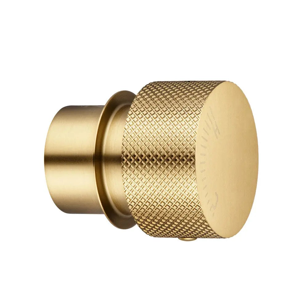 Progressive Brushed Brass Handle Aquaperla