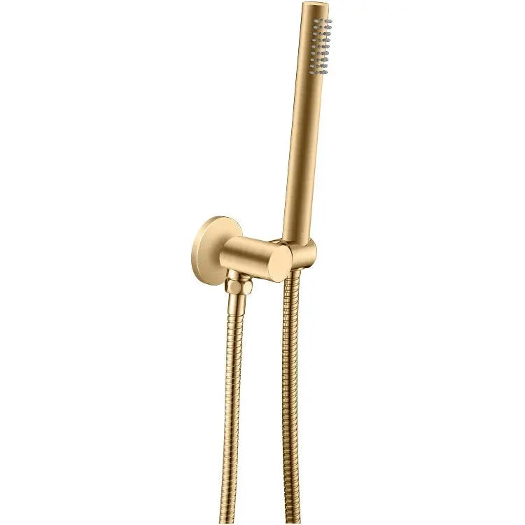Brushed Brass Shower Rail with Handheld Shower Aquaperla