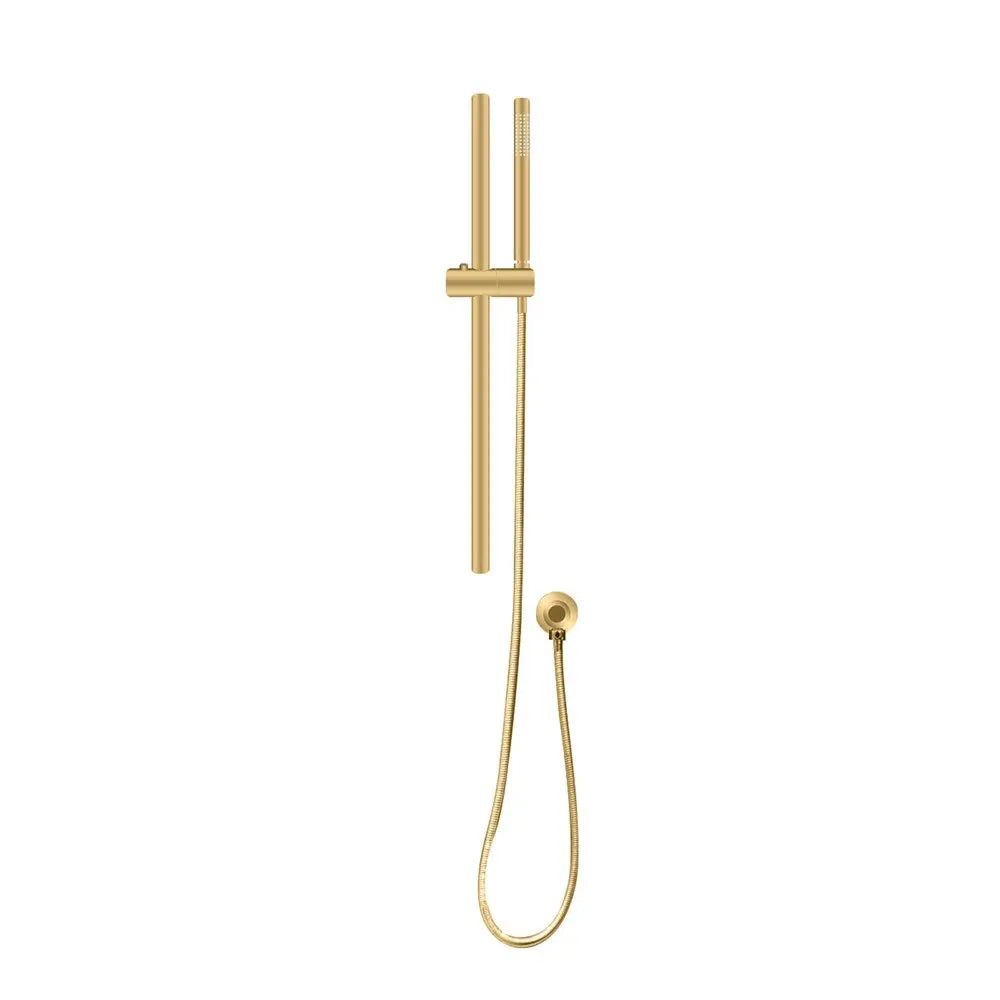 Brushed Brass Shower Rail with Handheld Shower Aquaperla