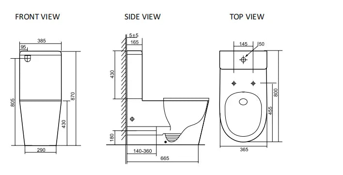 Bagno D'Oro Koa Care Accessible Back to Wall Rimless Toilet Suite Bagno D'Oro