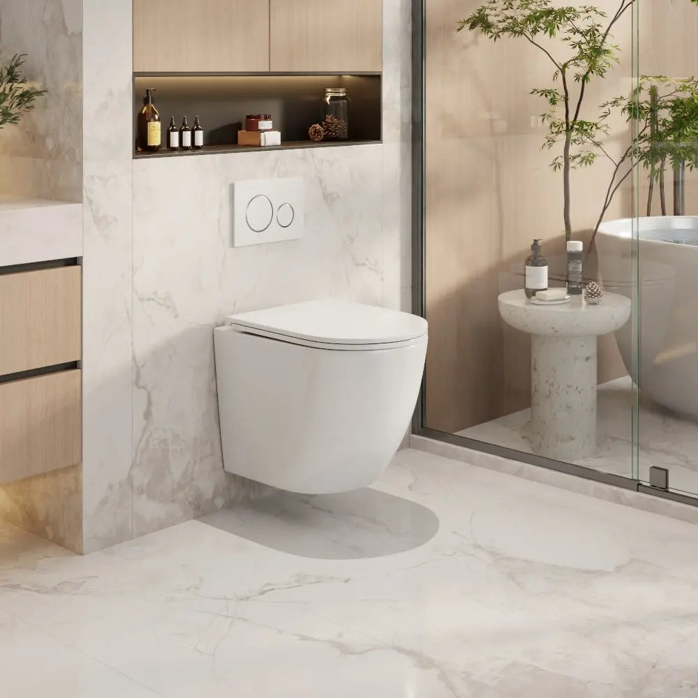 Raul66 Wall-Hung Pan mercioaustralia