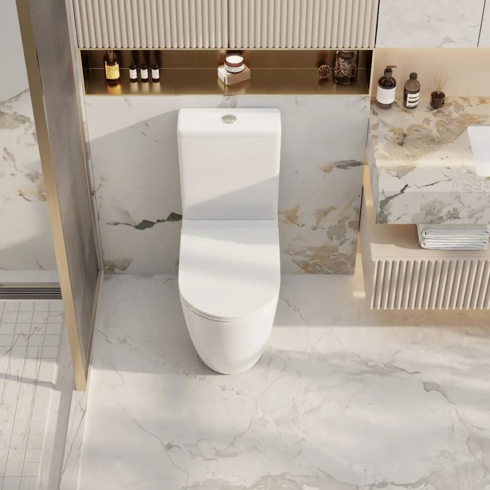 Norton Back-to-Wall Toilet Suite mercioaustralia