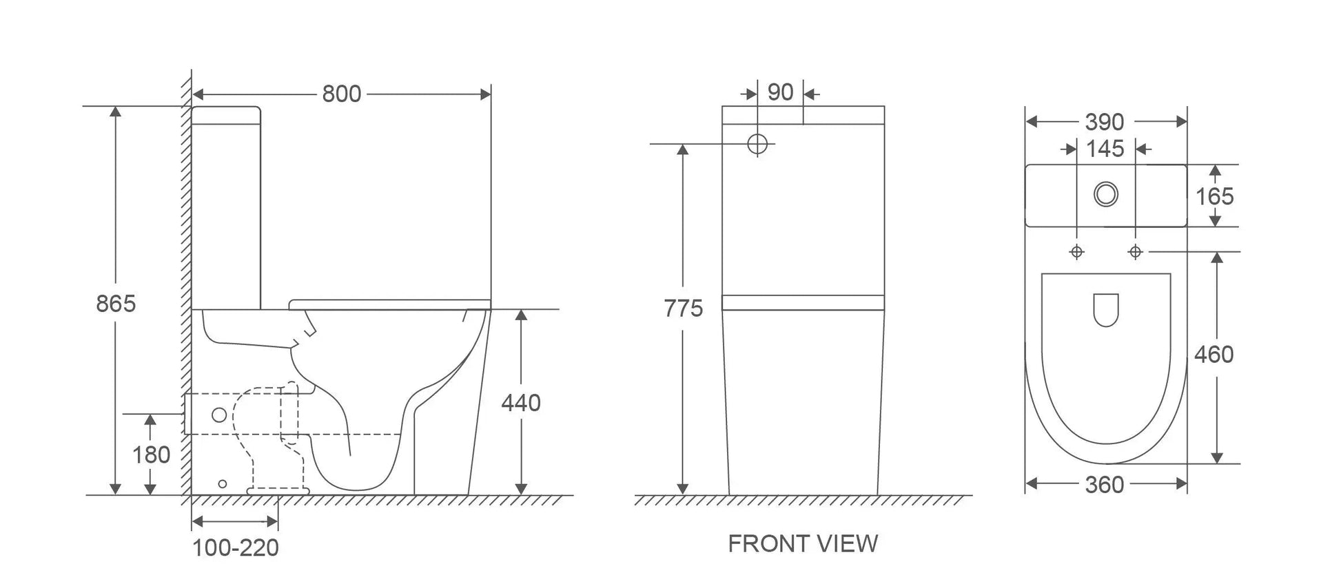 Pani Care-Accessible Back-to-Wall Toilet mercioaustralia