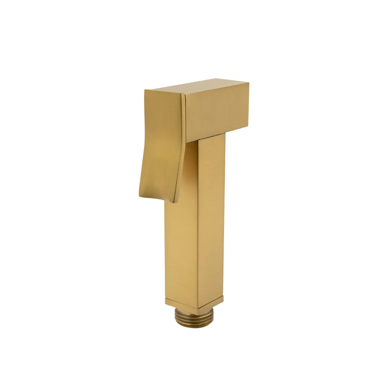 Brushed Brass Brass Toilet Bidet Aquaperla